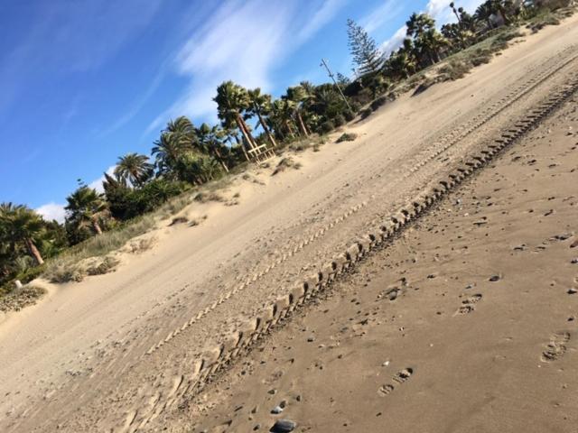 Lejlighed Beachfront La Jacaranda Marbella